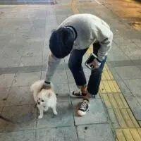 我不想去触碰你伤口的疤只想掀起你的头发 我没有酒也没有茶只有