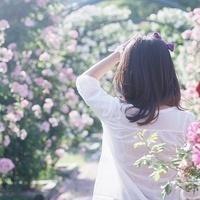 还在吗，或许你的世界里只有我的背影了 你那么好看 一定很贵