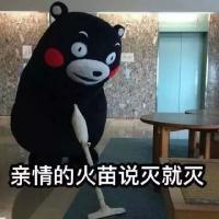 哈哈哈 经常在梦里出现的人