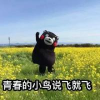 哈哈哈 经常在梦里出现的人