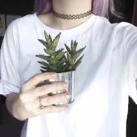 孤。 你的无意经过我却用心