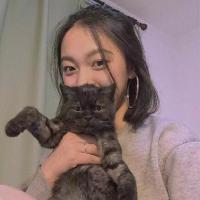 C 如果可以，务必找到内