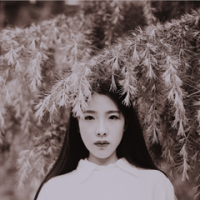 ` 那个人 已经不再喜欢