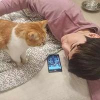 等风来 不要谈恋爱 继续酷下