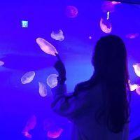 一只雯仙女 没人心疼我了你回来吧