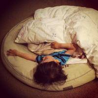 法斗与小男孩 愿用一身的红颜唤你转
