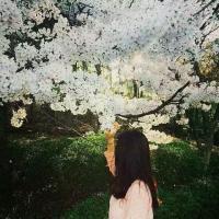 爱情就像龙卷风 有的人走了就再也没回