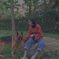 把人生一分为二，前半