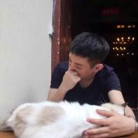 孤独的王。 Each bird