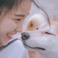 单车 原来你生来就属于天际