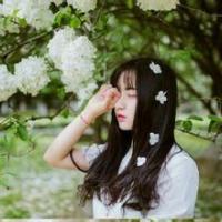 樱不语 太阳的光芒只是刺痛我