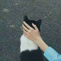 一波杂图 望喜欢 我可以为我们的散承担