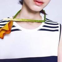 none 学习是灯，努力是油，