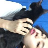 我以为我快要忘记你了