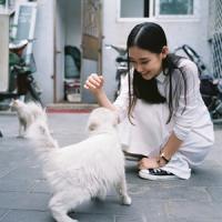 赠.安无敌 我想我会爱你很久 L