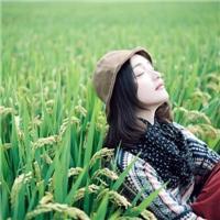 别羡慕 那是别人的地老天荒 真心不如红钞票，感情