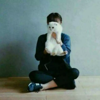 木木木木兮 至少回忆会永久像不变
