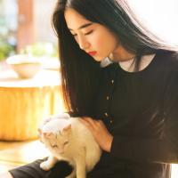 阿九【蒋小姐】 根本不会开始的故事又