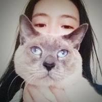 找图挺辛苦 这城市中车水马龙我能