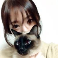 女神 这 般 酸 楚 *