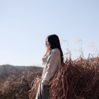 与赠 如果你执意，一个理由
