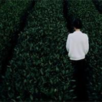 Gone 如你愿向我敞开心怀诉