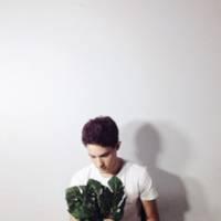 菊：只是凑巧没人发 以人类的体型，猪的习