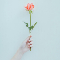 我们的曾经，我ai他们_ 麦兜：大难不死,必有