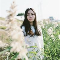 撕 清晨的阳光和你，傍晚