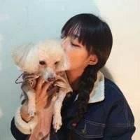 【菊】图好人气差 没用的东西再便宜也不