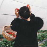 芥末 我们不要和好了，我也