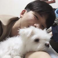 七号 诅咒欺负我的人，吃面