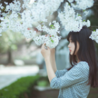 彼岸花的孤寂，收集了