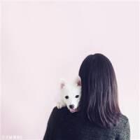 执扇掩笑 所有我们能触摸的东西
