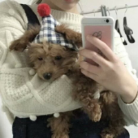 短发女神 求花花 你勇敢过吗坚强过吗无