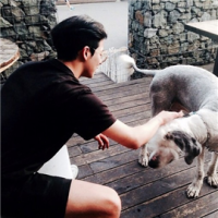 吻过风 如果你已经尽了最大的