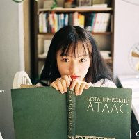 凉风倾诉叶子飞吻心扉