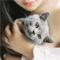 没了你我还纵容谁 Want to ha