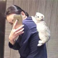 爱而不得的人就放了吧 学习这件事，不是缺乏