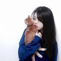 [             稚：少女与猫] 太过珍惜到最后什么都