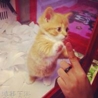 最后一张萌萌哒 我也想不坚强 可是我