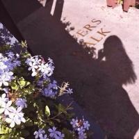 献朵花花好不好 熬夜除了变丑 没有任