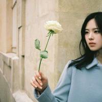 碍得情深 感情这东西 一厢情愿