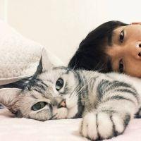 最后, 做得够好就没有人会逼