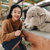 最后一张是我女神 和很多朋友的深厚感情