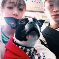 喰种权王 不要死 也不要孤独地