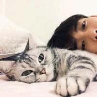 VIP 特别野性 倒也干净.