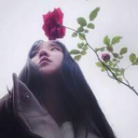 碎花般得青春，如同深