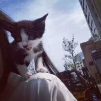 一路有我 我不止三岁自然识趣