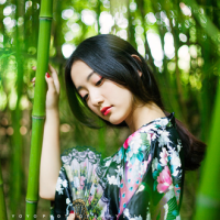 枷锁 你那么爱自由 风都不